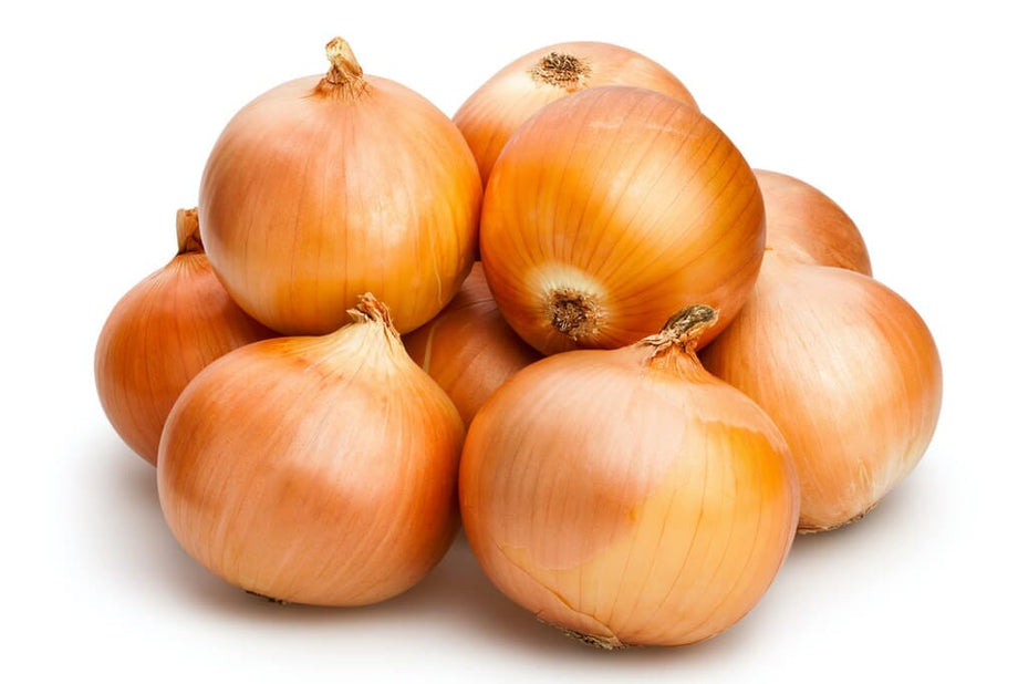 YELLOW ONION - large/jumbo - bag/50 lbs
