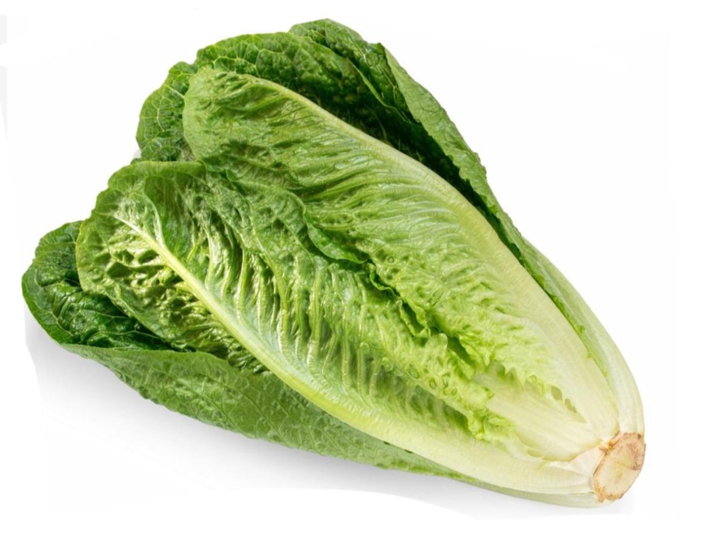 lettuce - romaine - premium - case/24