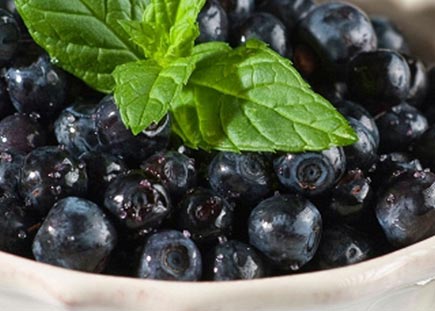 BLUEBERRIES - frozen - wild / whole - IQF - bag/1kg